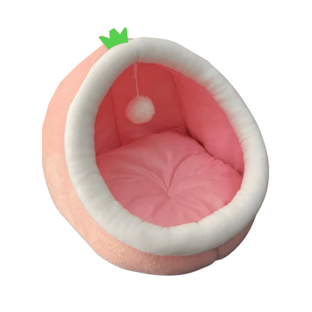 Extra Large Premium Cartoon House for Cats & Puppies