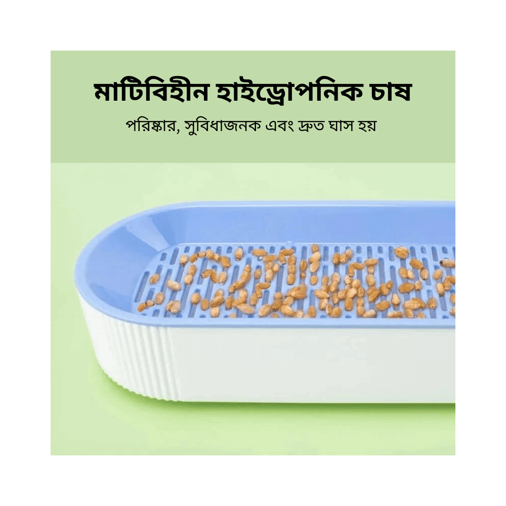 Hydroponic Cat Grass Kit – Soilless Growing Pot for Healthy Cat Treats