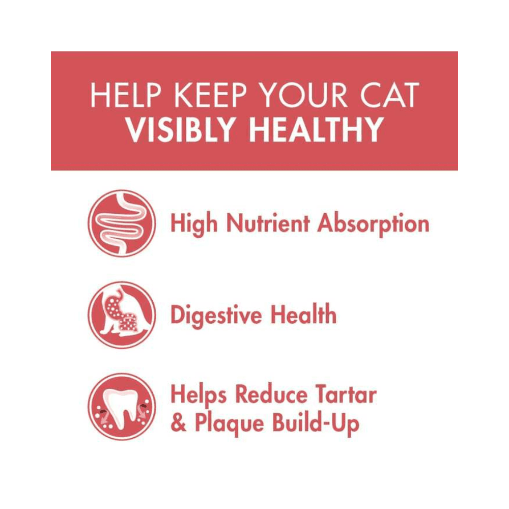 Purina One Cat Food Healthy Adult with Salmon & Tuna 1.2kg