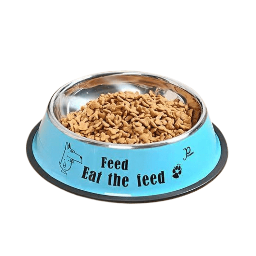 Colourful Stainless Steel Food Bowl Pet Feeding Bowl