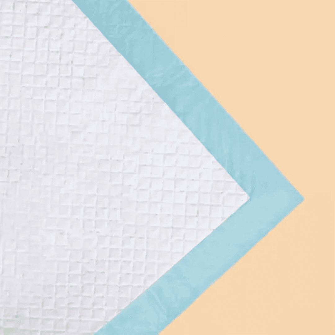 Bioline Highly Absorbent & Leak-proof Training Pee Pad (1 Piece)