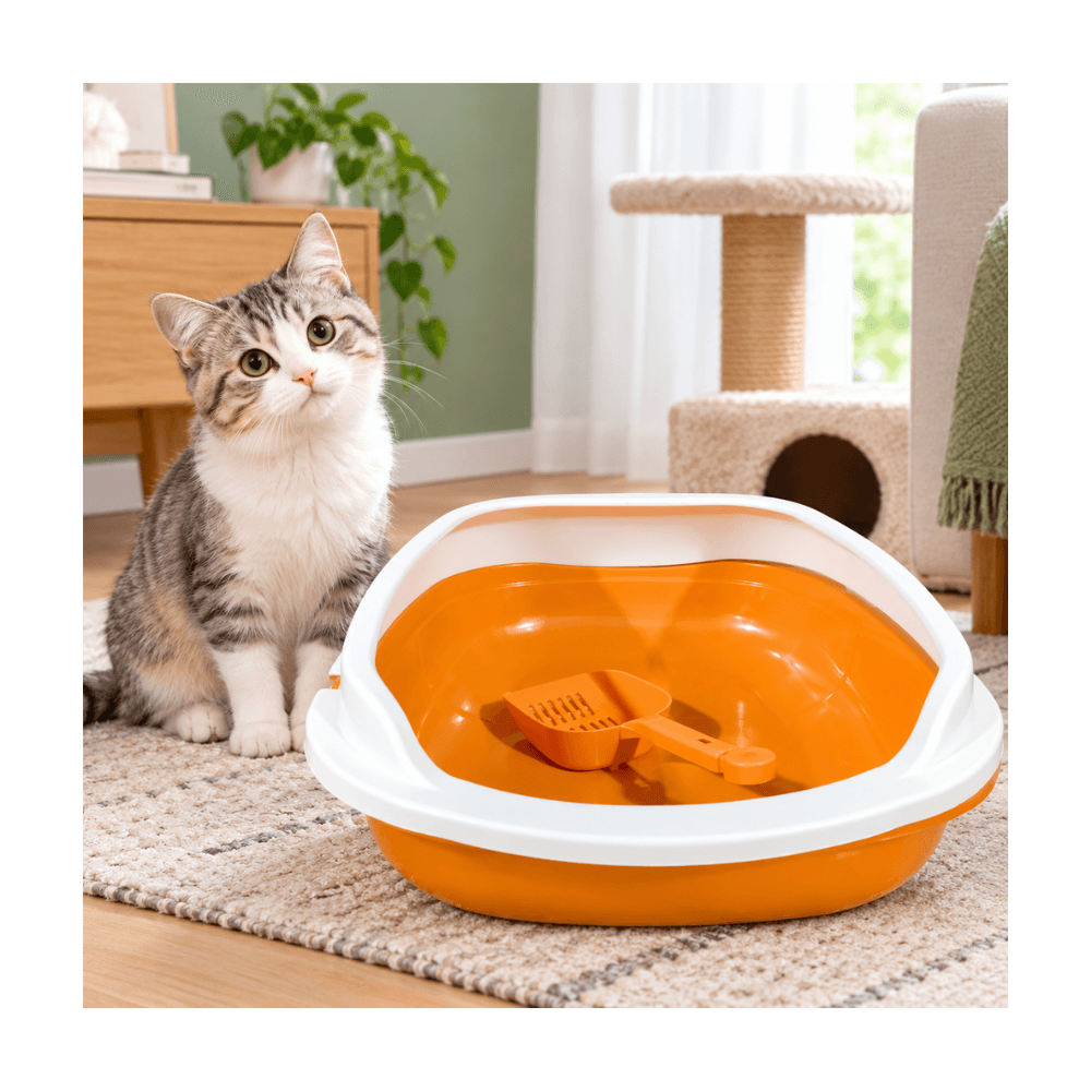 Cat Litter Box with Scoop