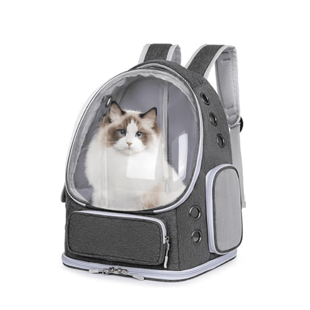 Luxurious Transparent & Foldable Pet Carrier Bag Large Size