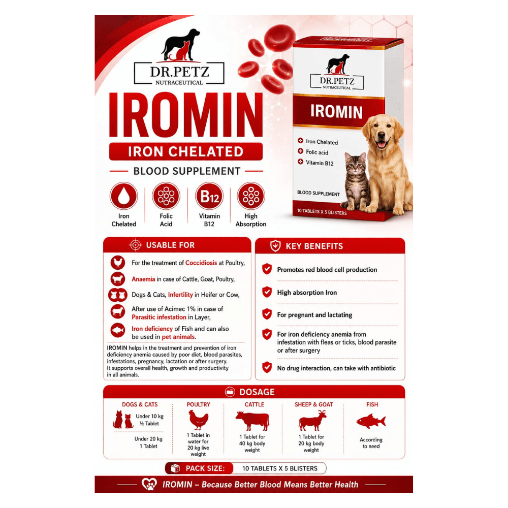 Dr. Petz Iromin Blood Supplement Tablet (1 piece)