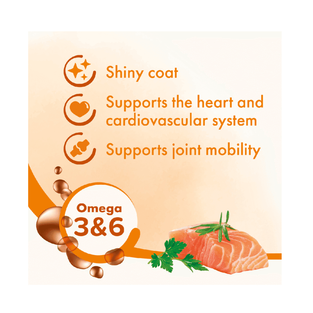 Bioline Norwegian Salmon Oil Energy & Vitality for Cats & Dogs 250ml