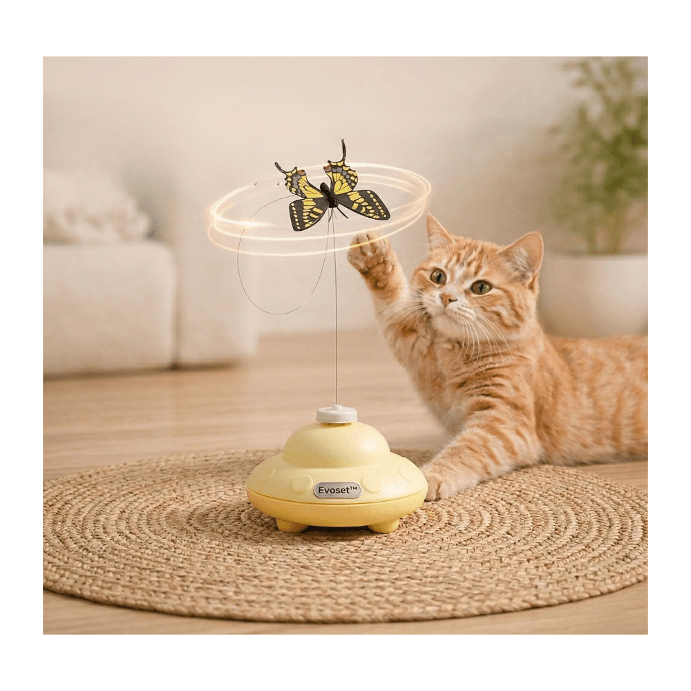 Automatic Rotating Flying Butterfly Cat Toy