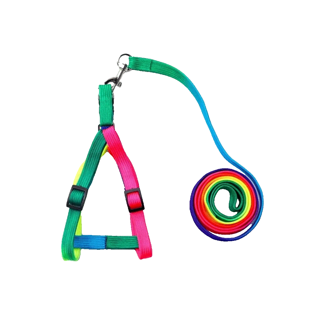 Long Handle Harness for Cats & Puppies