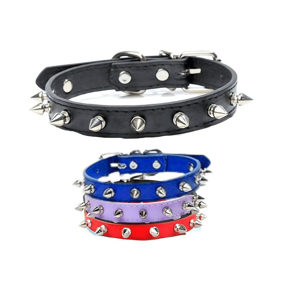 Spiked Rivet Dog Collar for Small Dogs