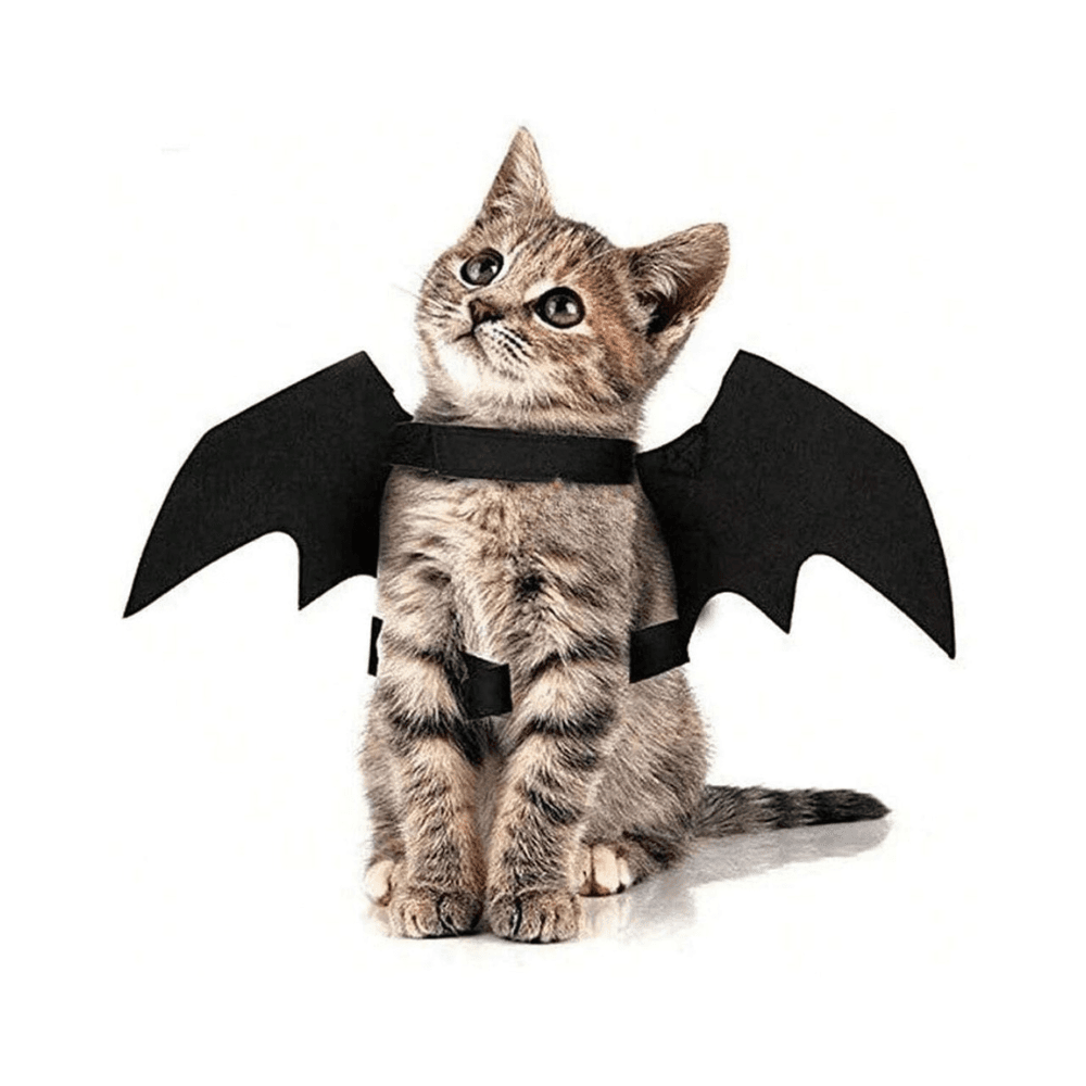 Cat Batman Wing Costume for Party