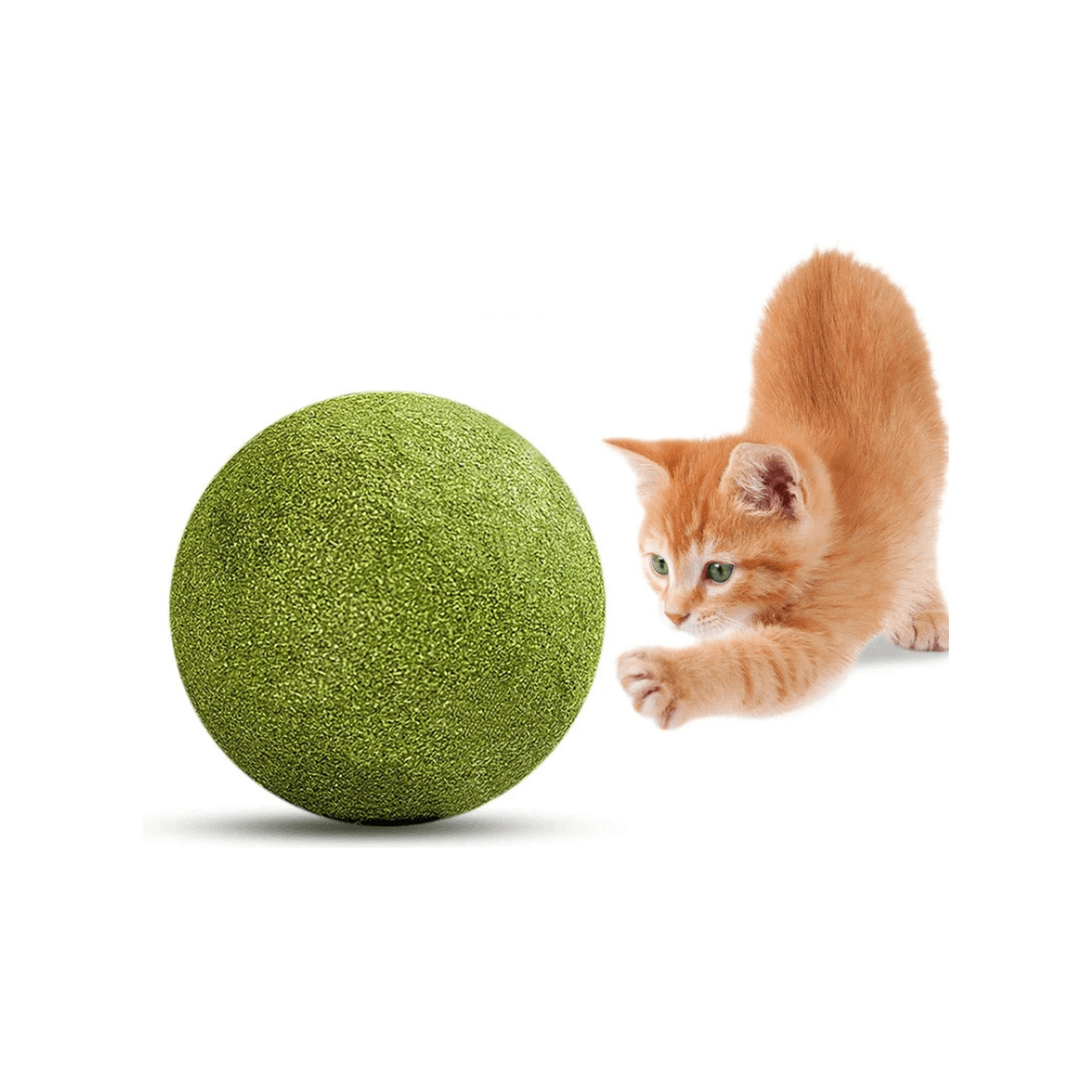 Healthy Cat Licking Teeth Cleaning Catnip Chewing Toy Ball