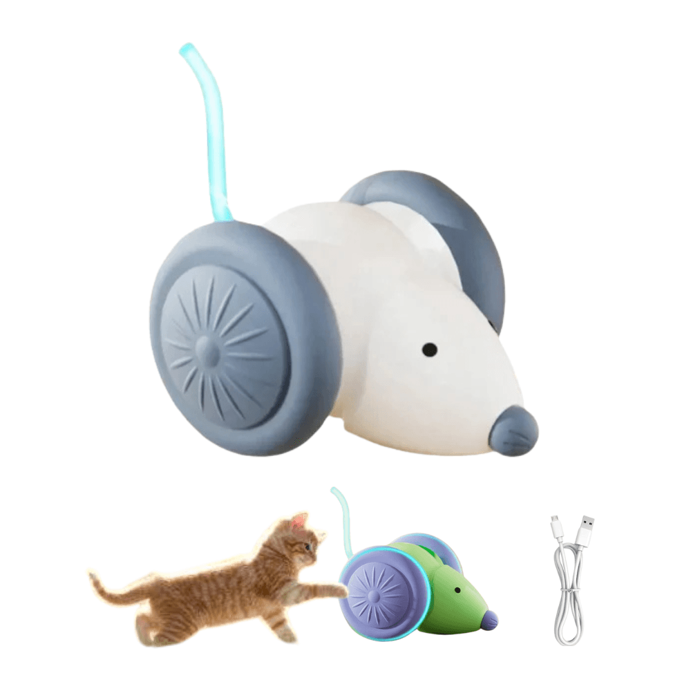 Rechargeable Interactive Electric Mouse Car Automatic Toy