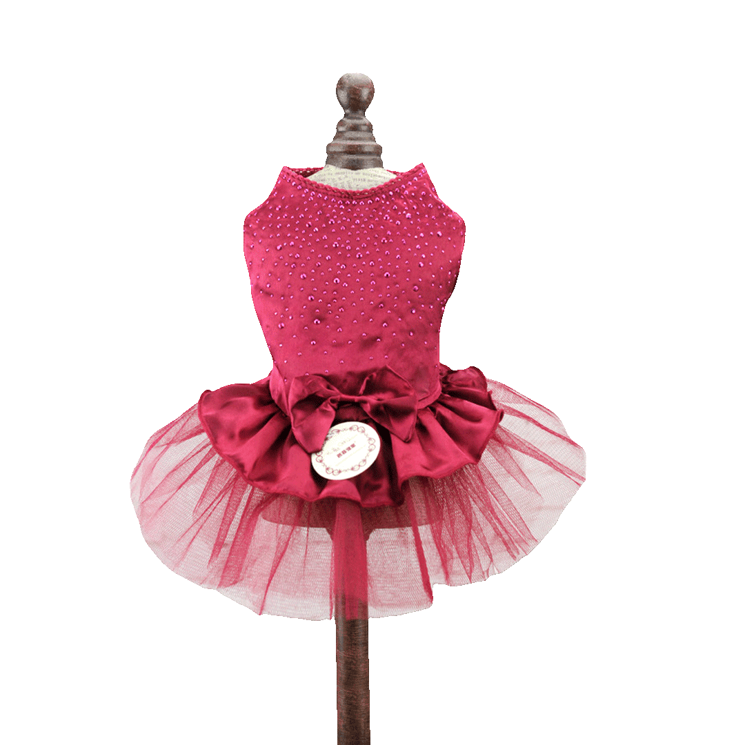 Sophisticated Party Dress for Cat