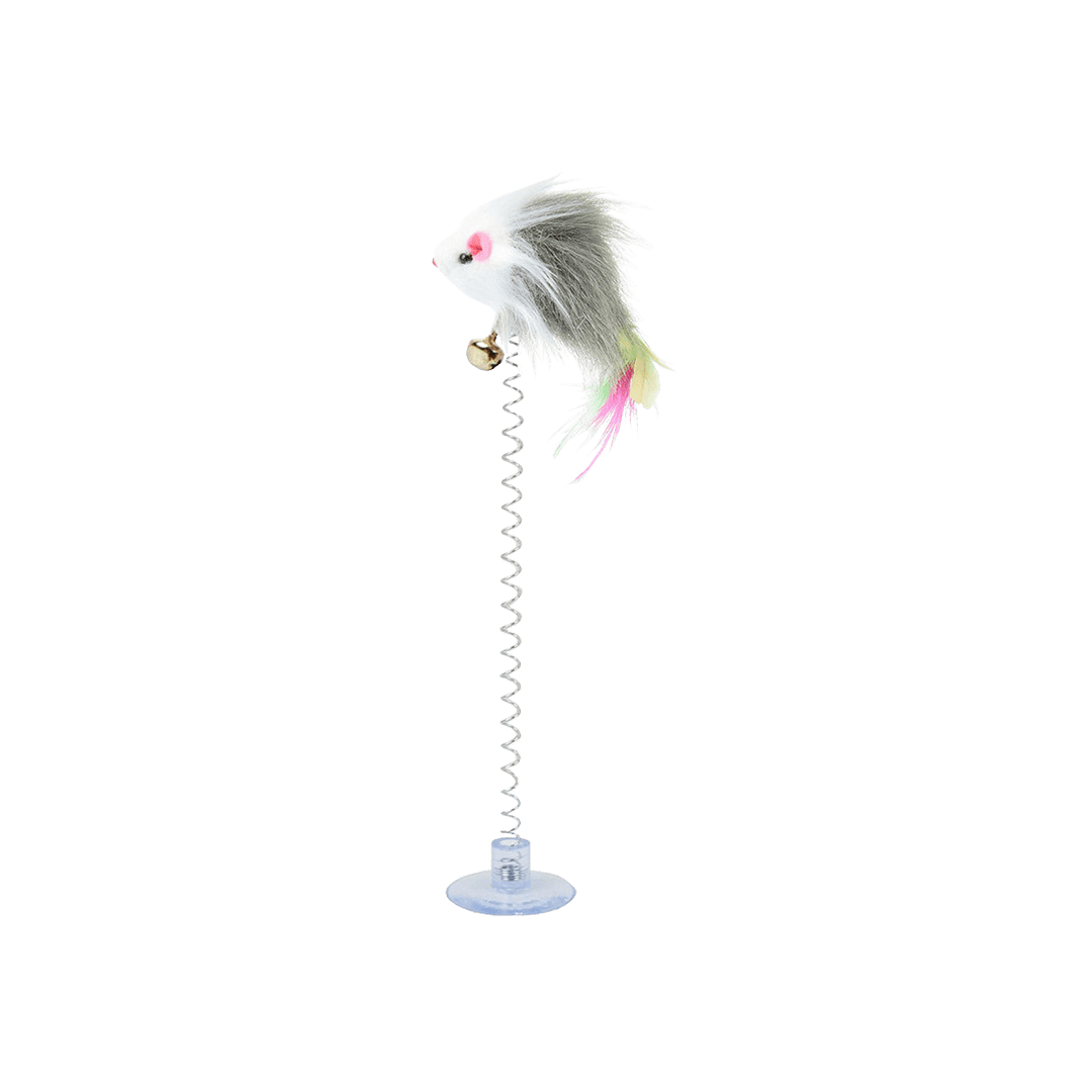 Cat Toy Raccoon on a Rubber Spring