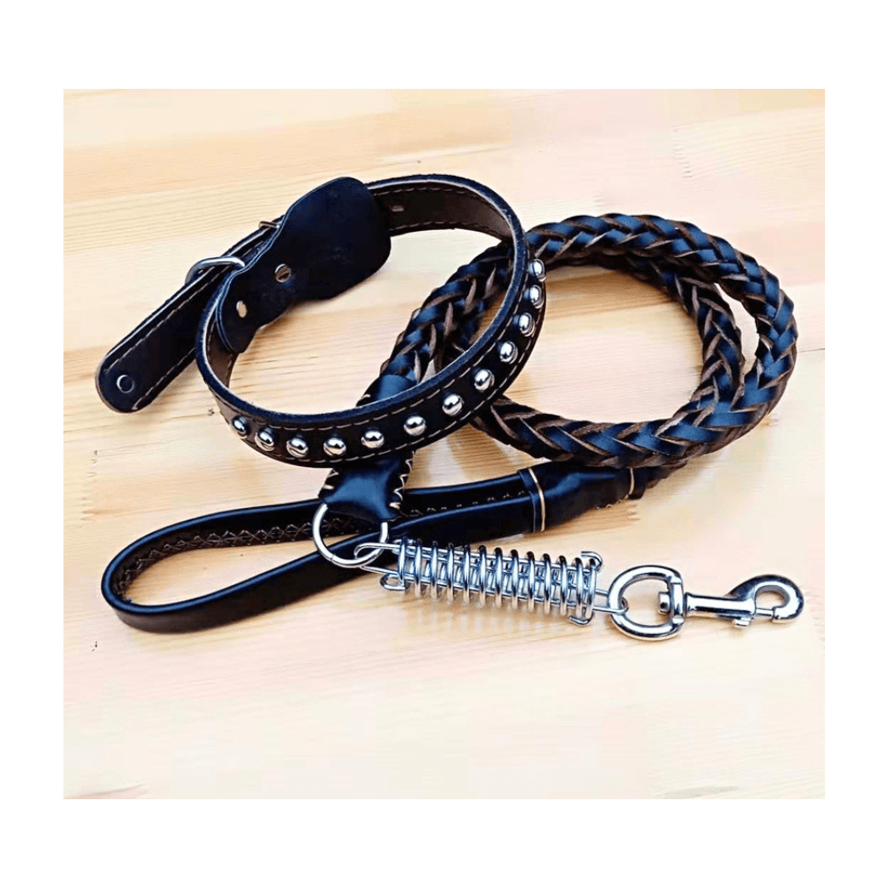 Genuine Leather Tow Rope Collar with Spring & Leash Dog Adjustable Harness