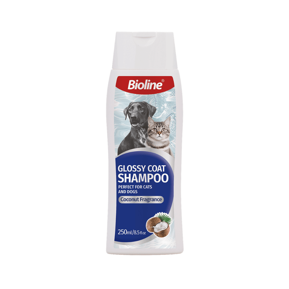Bioline Glossy Coat Shampoo for Cats and Dogs 250ml