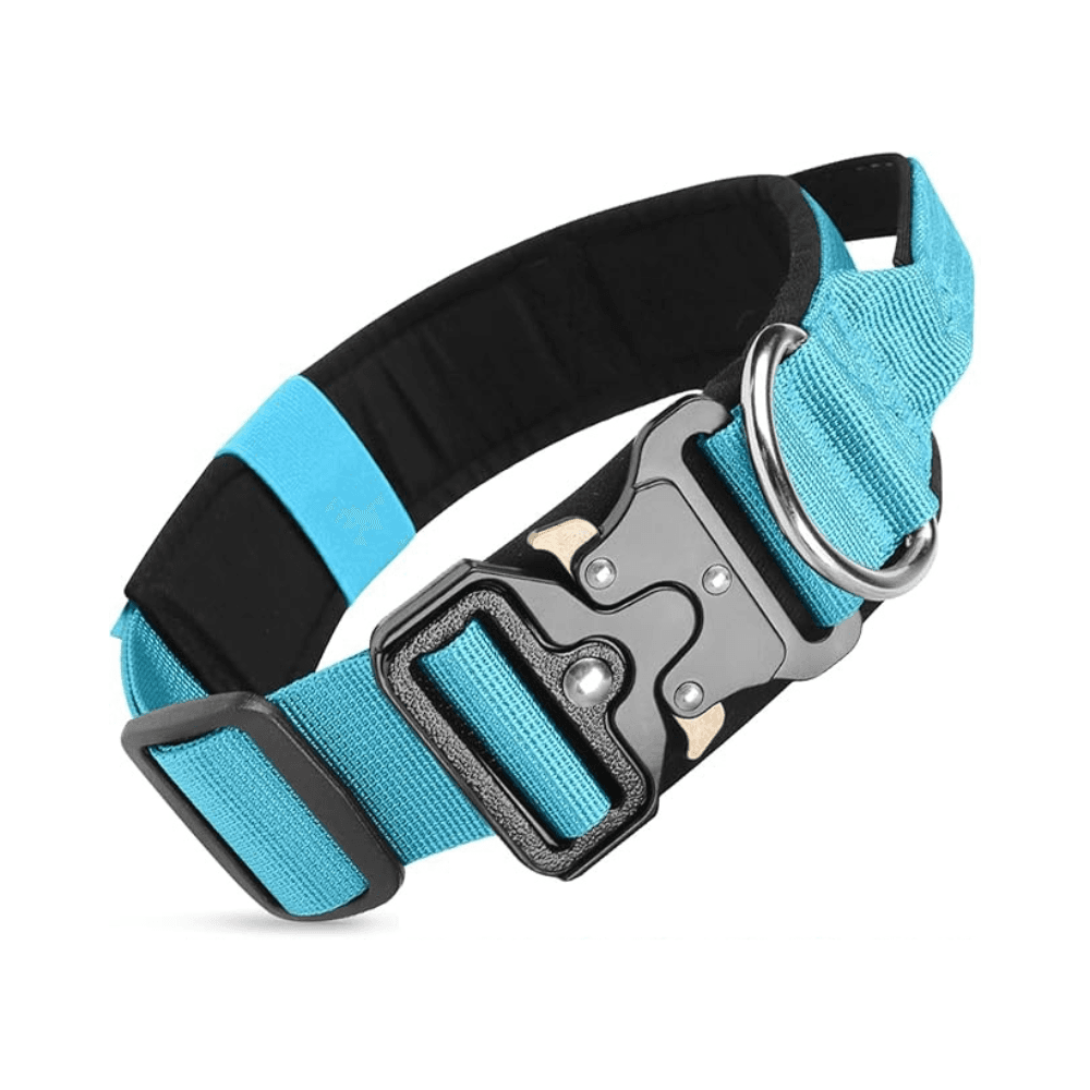 Medium Size Training Dog Tactical Collar with Heavy Duty Metal Buckle with Handle