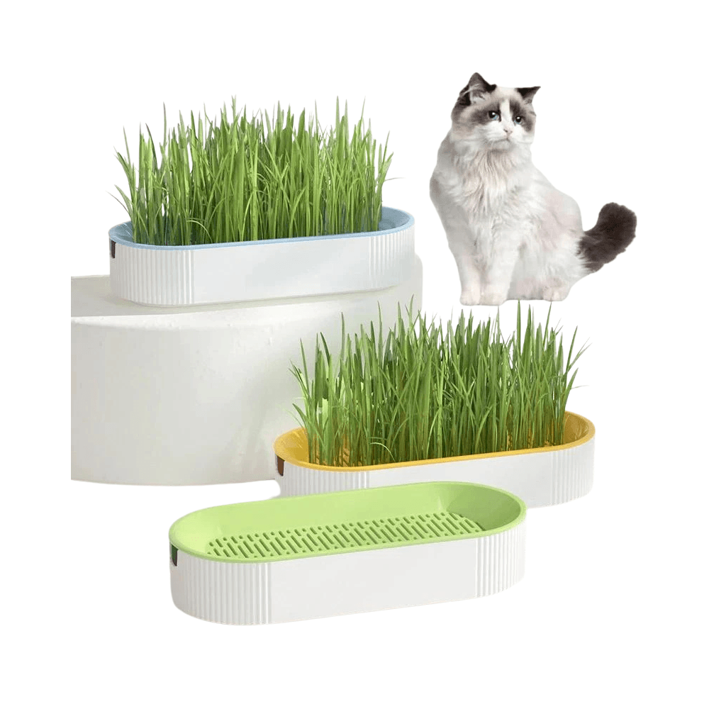 Hydroponic Cat Grass Kit – Soilless Growing Pot for Healthy Cat Treats