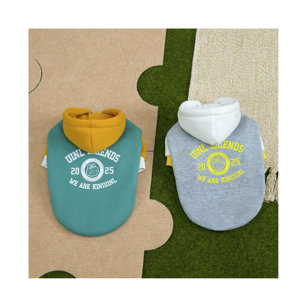 Exclusive Edition Cat Friendship Hoodie Dress Sweater