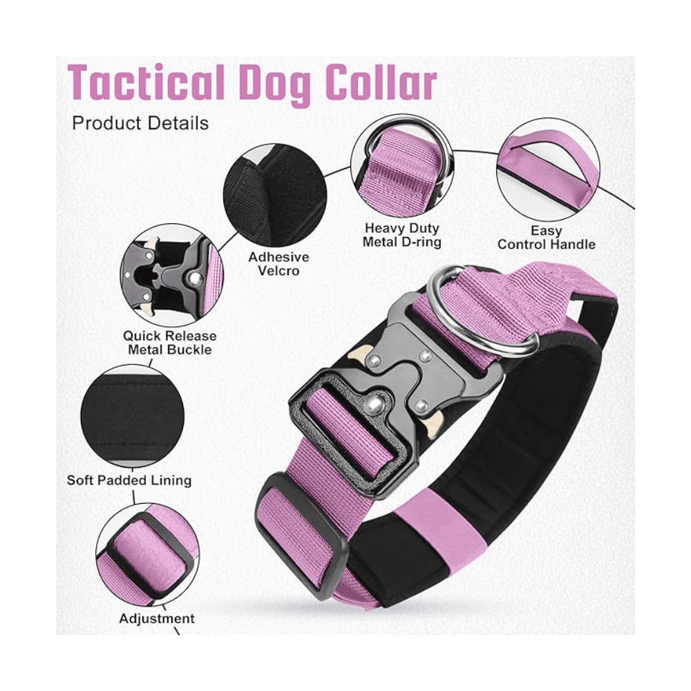 Medium Size Training Dog Tactical Collar with Heavy Duty Metal Buckle with Handle