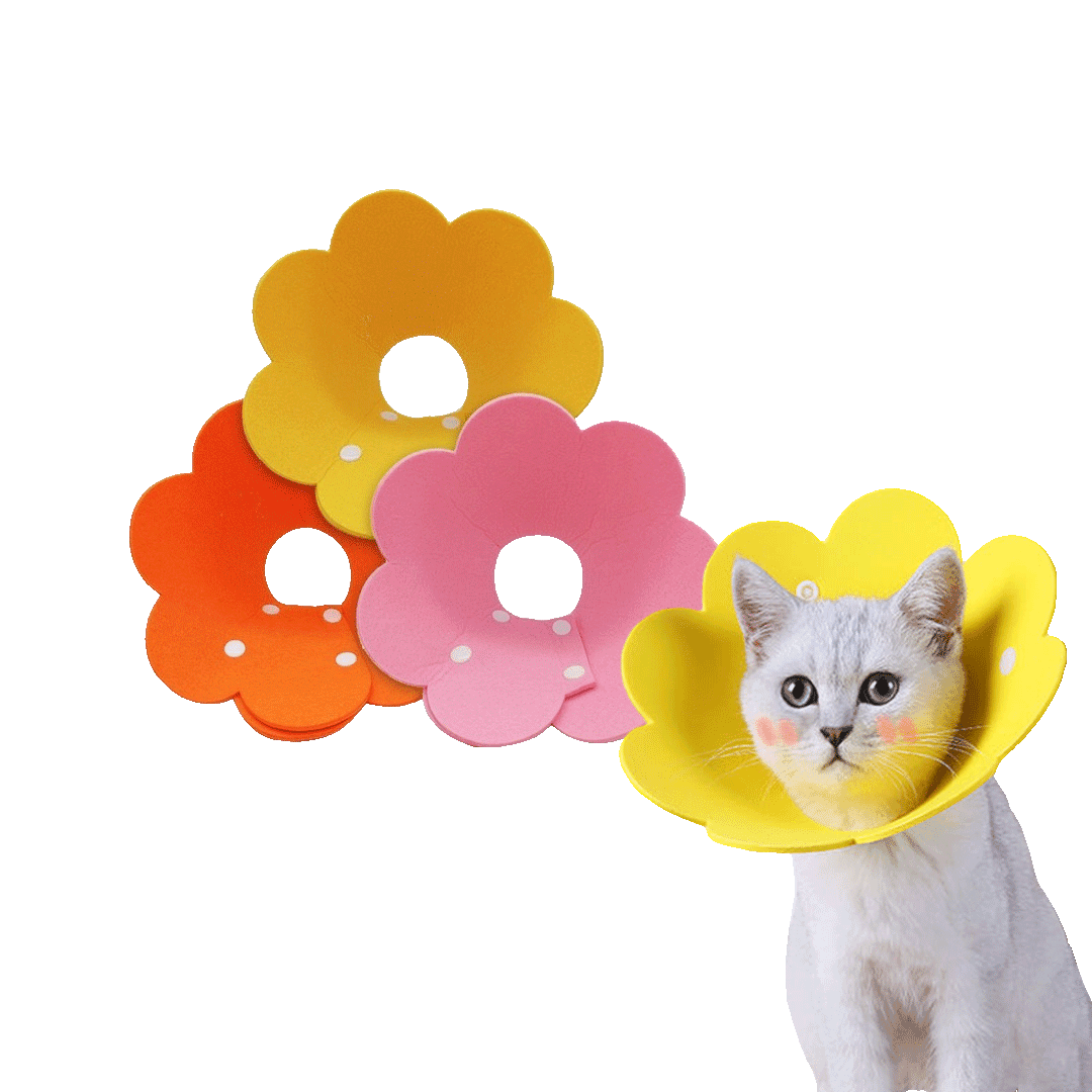 Flower Operation Collar for Pet