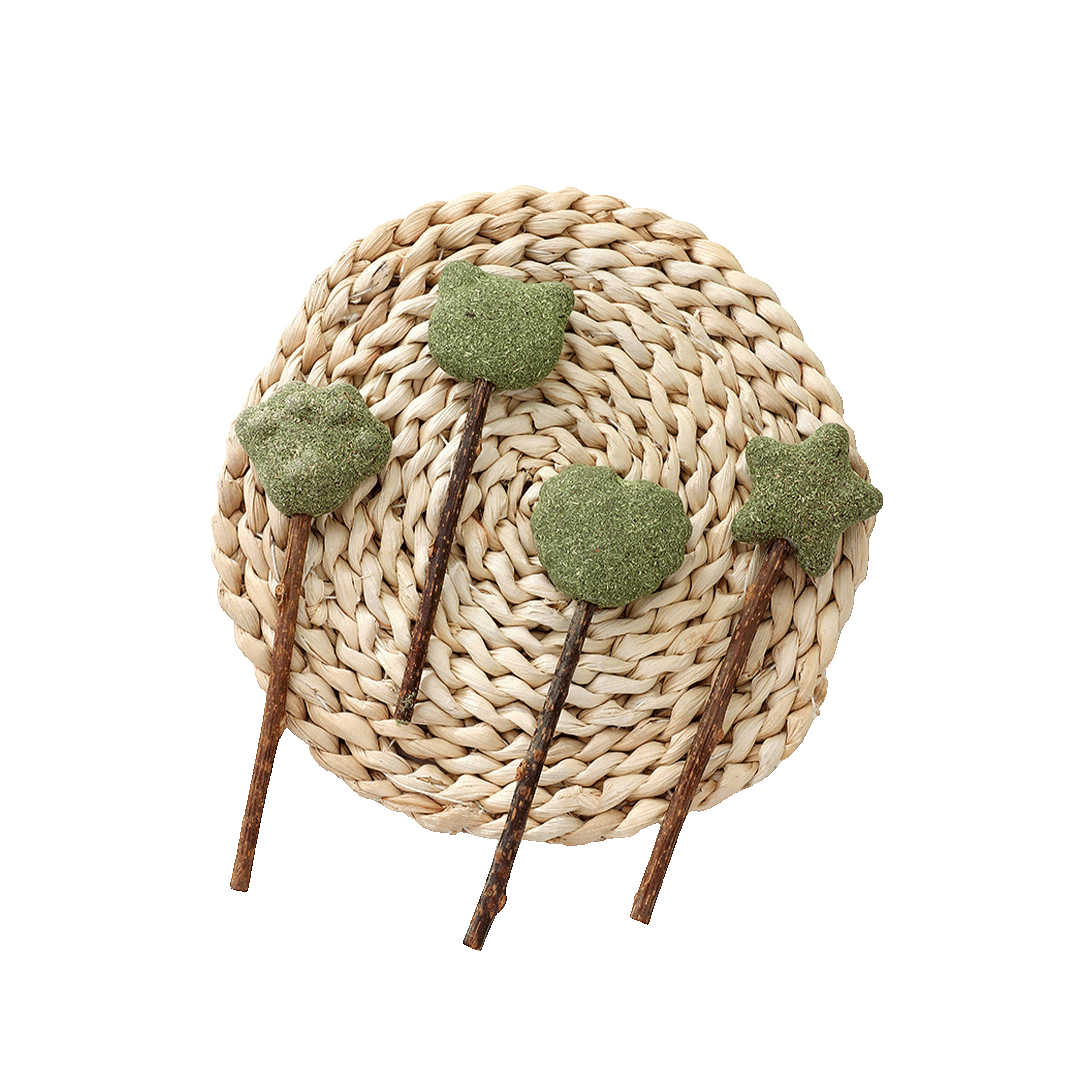 Healthy Cat Licking Candy Catnip Toy