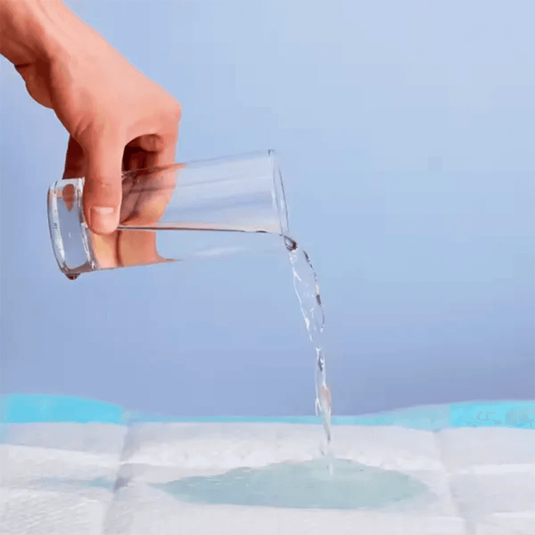 Bioline Highly Absorbent & Leak-proof Training Pee Pad (1 Piece)