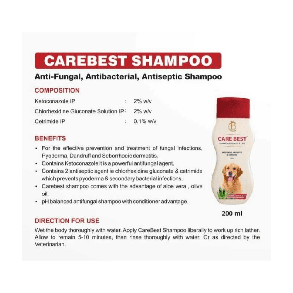 CARE BEST Anti-Fungal, Antibacterial, Antiseptic Shampoo for Cats & Dogs 200ml