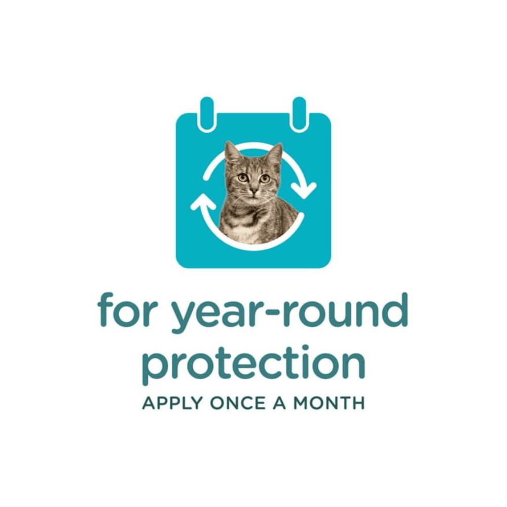 Vet Coach Fipronil Tick & Flea Spot On for Cat & Dog 0.50ml