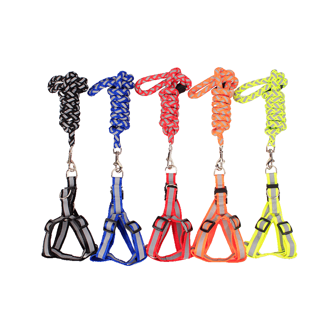 Reflective Dog Leash Harness Durable and Comfortable