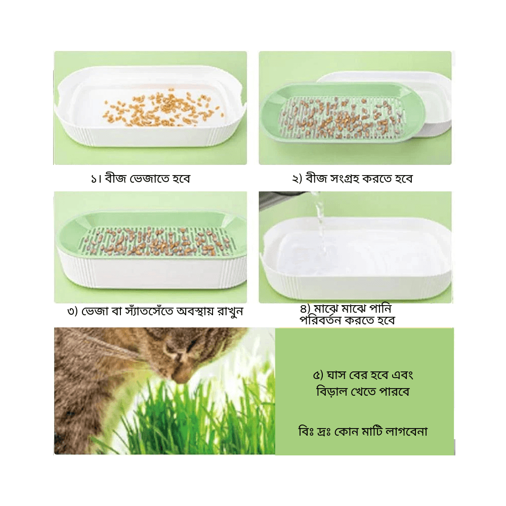 Hydroponic Cat Grass Kit – Soilless Growing Pot for Healthy Cat Treats