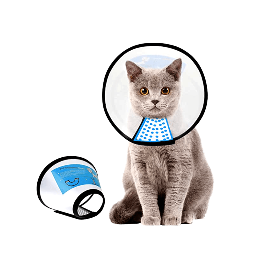 Operation Collar for Pet