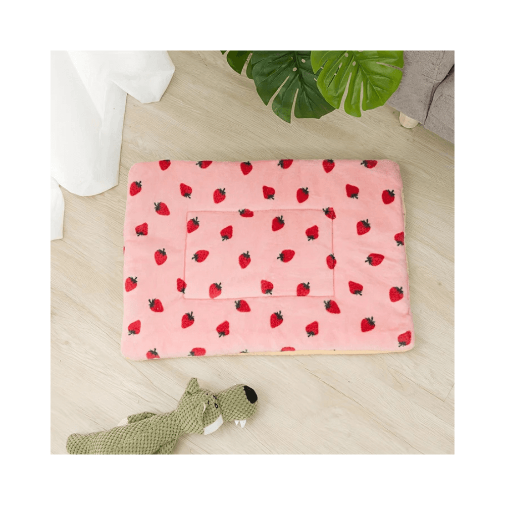 Large Size Exclusive Soft Pet Blanket