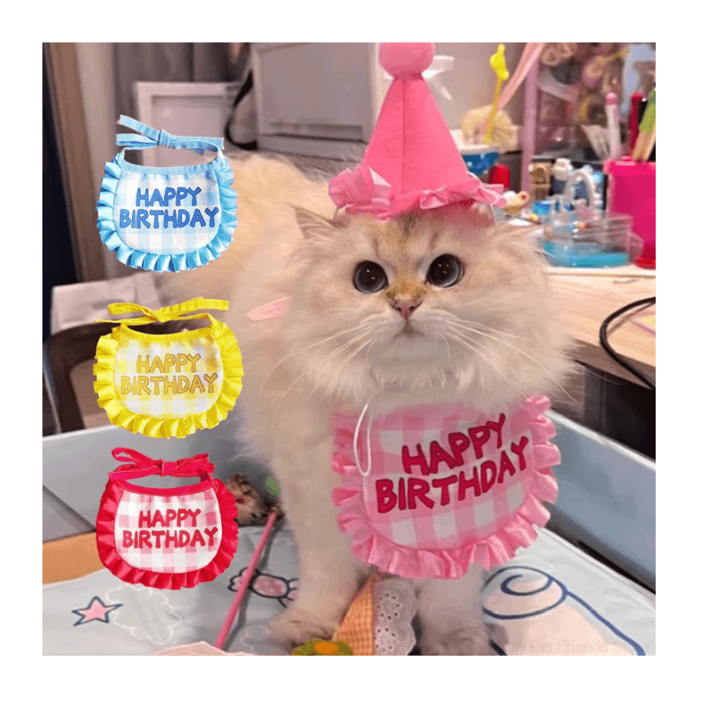 Complete Cat Birthday Set - Scarf, Hat, Year Badge (No Exchange)