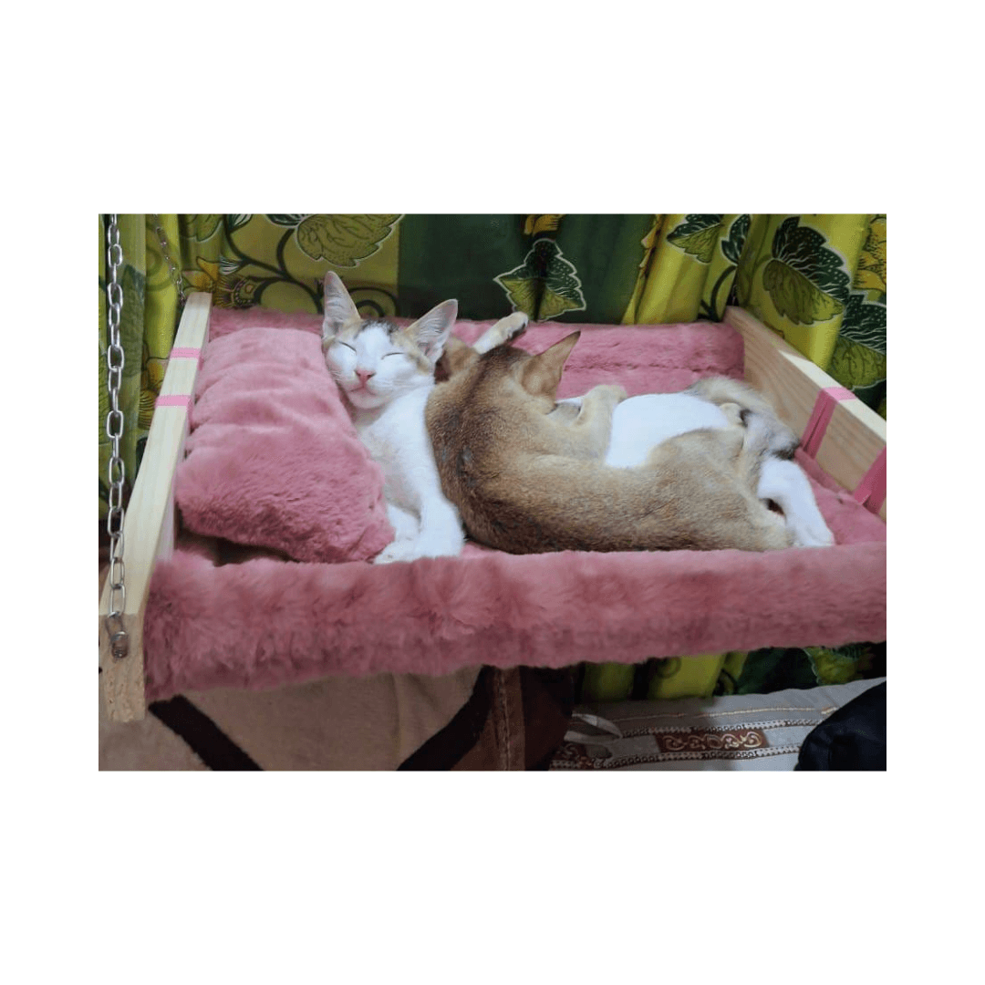 Pet Hammock Bed with Cushion