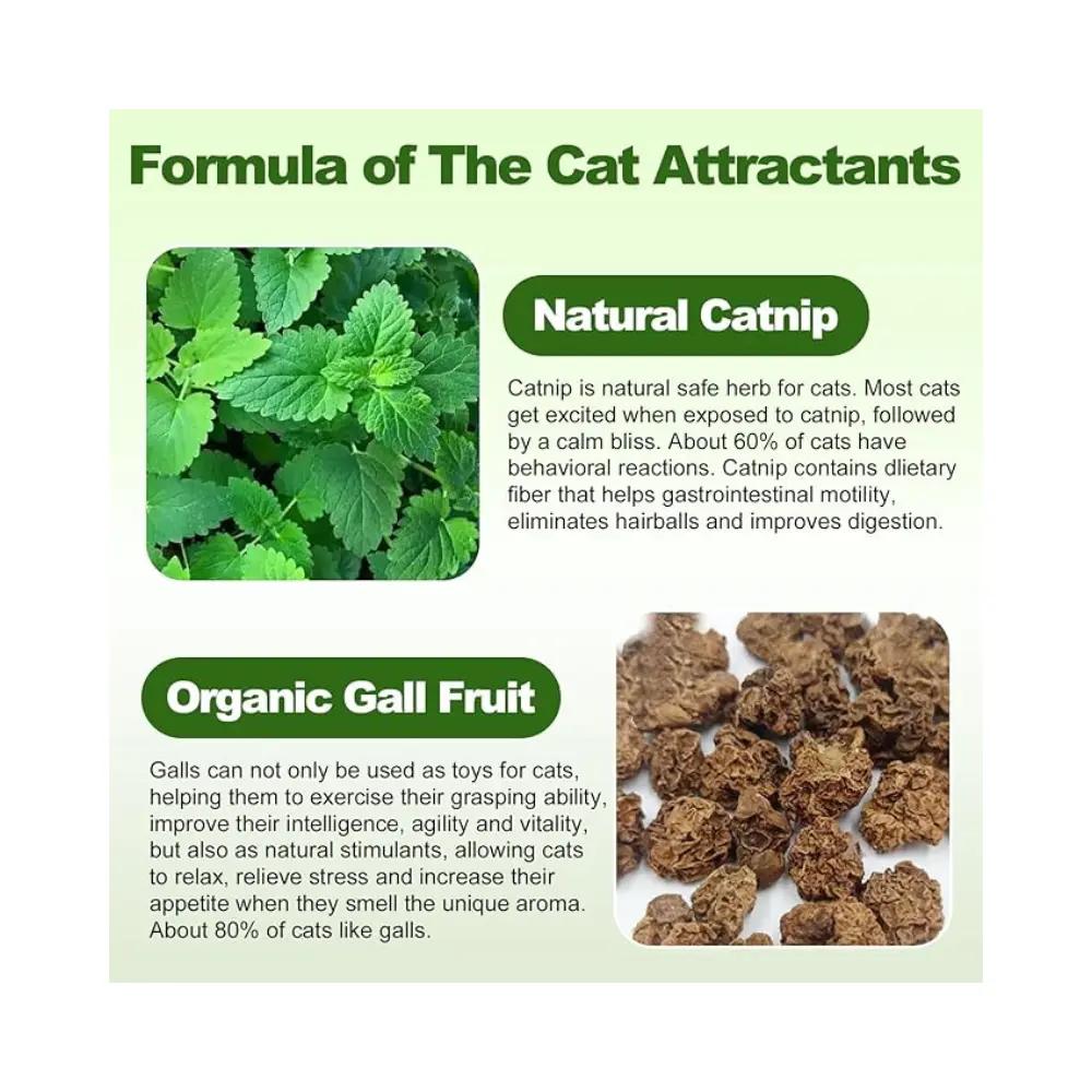 Wall Attached Replaceable Catnip Ball Exercise Toy for Both Happiness & Health