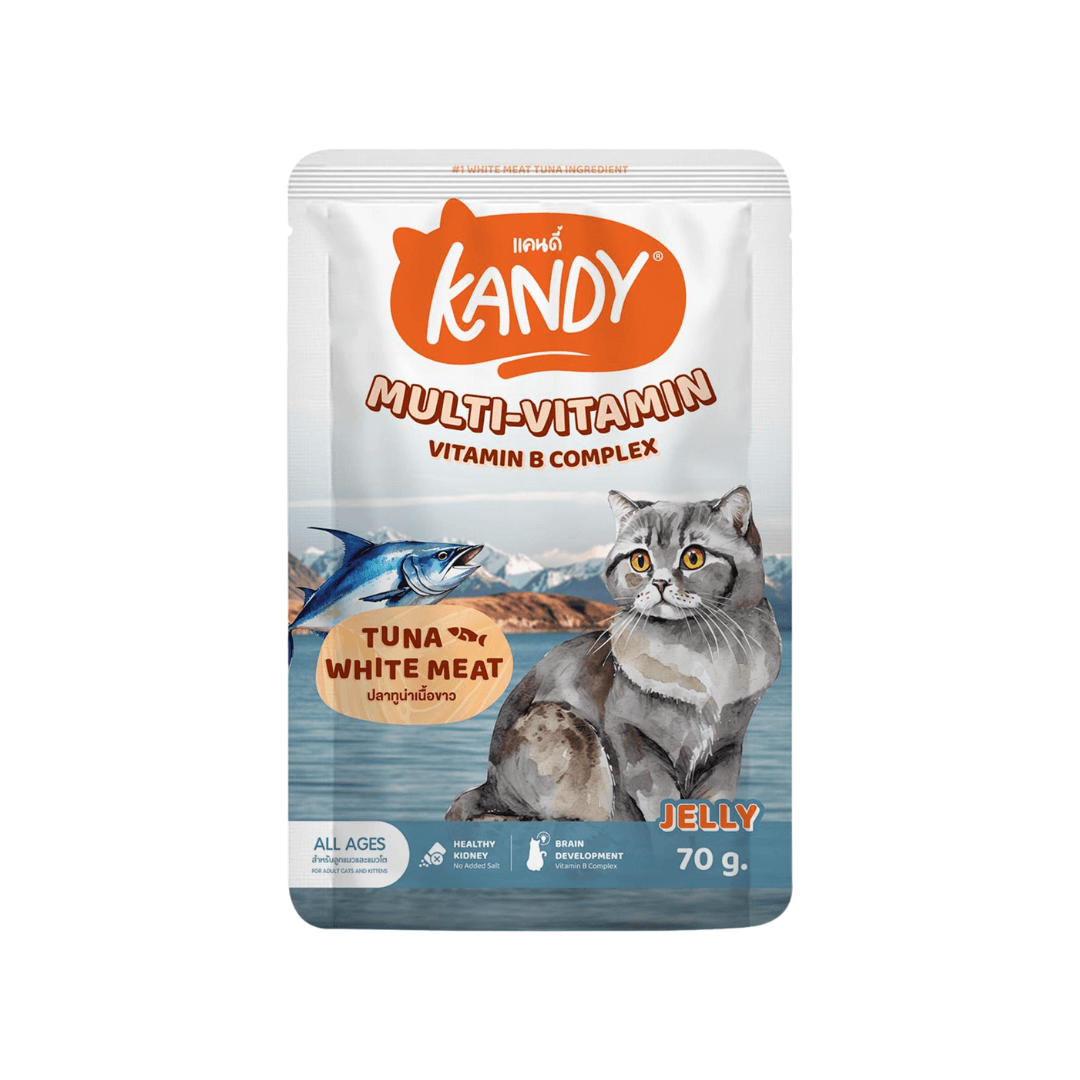 Kandy MULTI-VITAMIN Vitamin B Complex Pouch Tuna White Meat in Jelly for All Ages 70g
