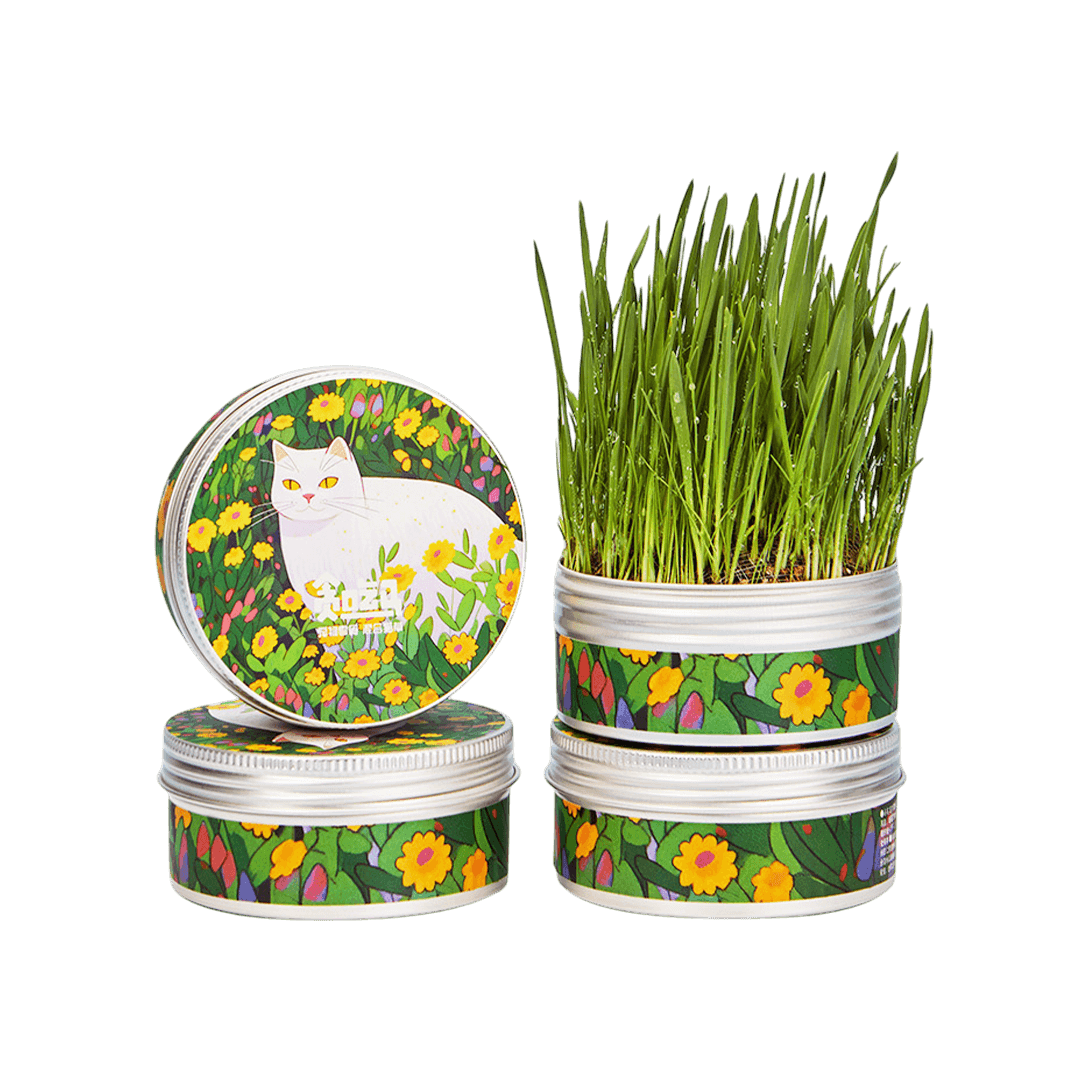 Premium Catnip Mixed Canned Cat Grass Kit