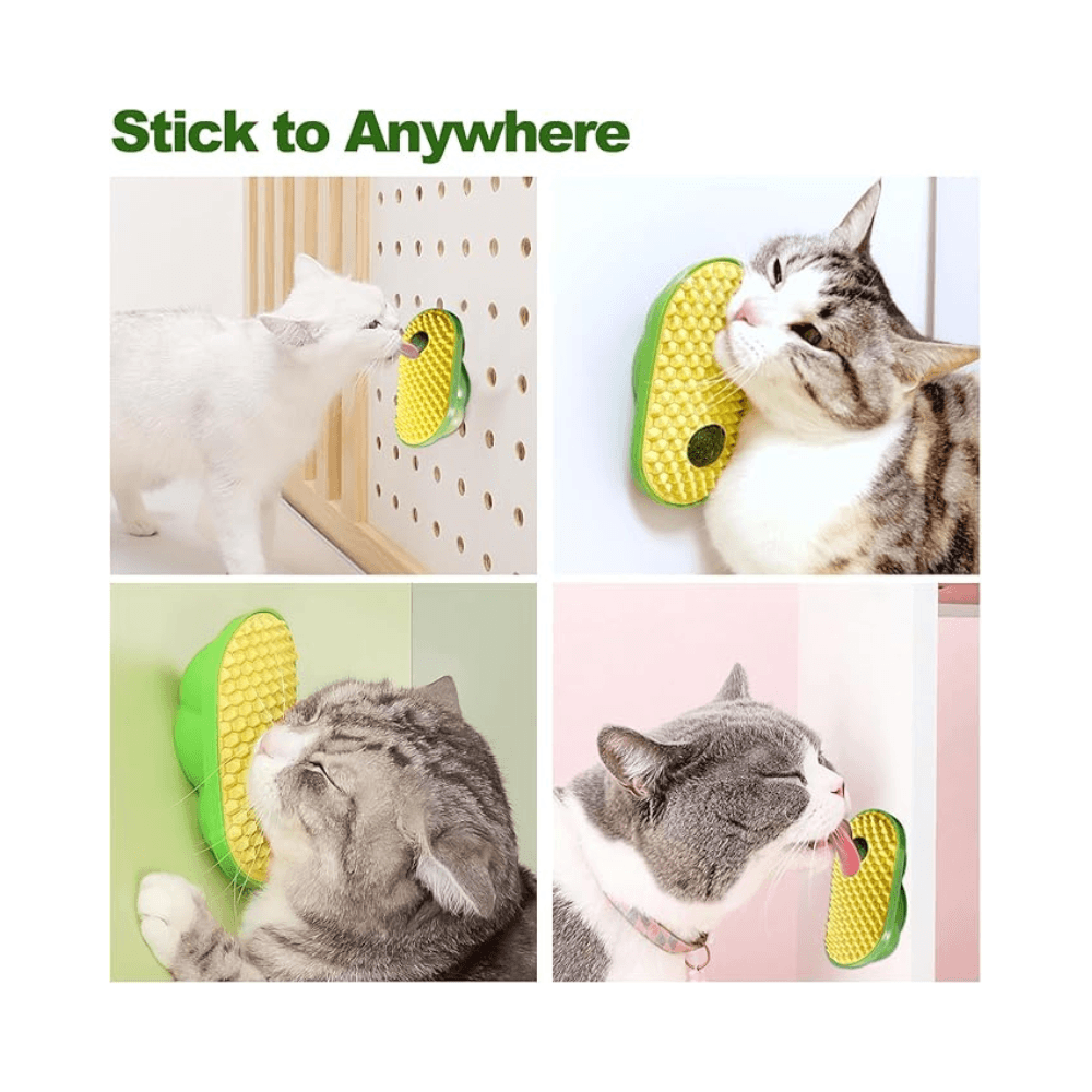 Wall Attached Replaceable Catnip Ball Exercise Toy for Both Happiness & Health