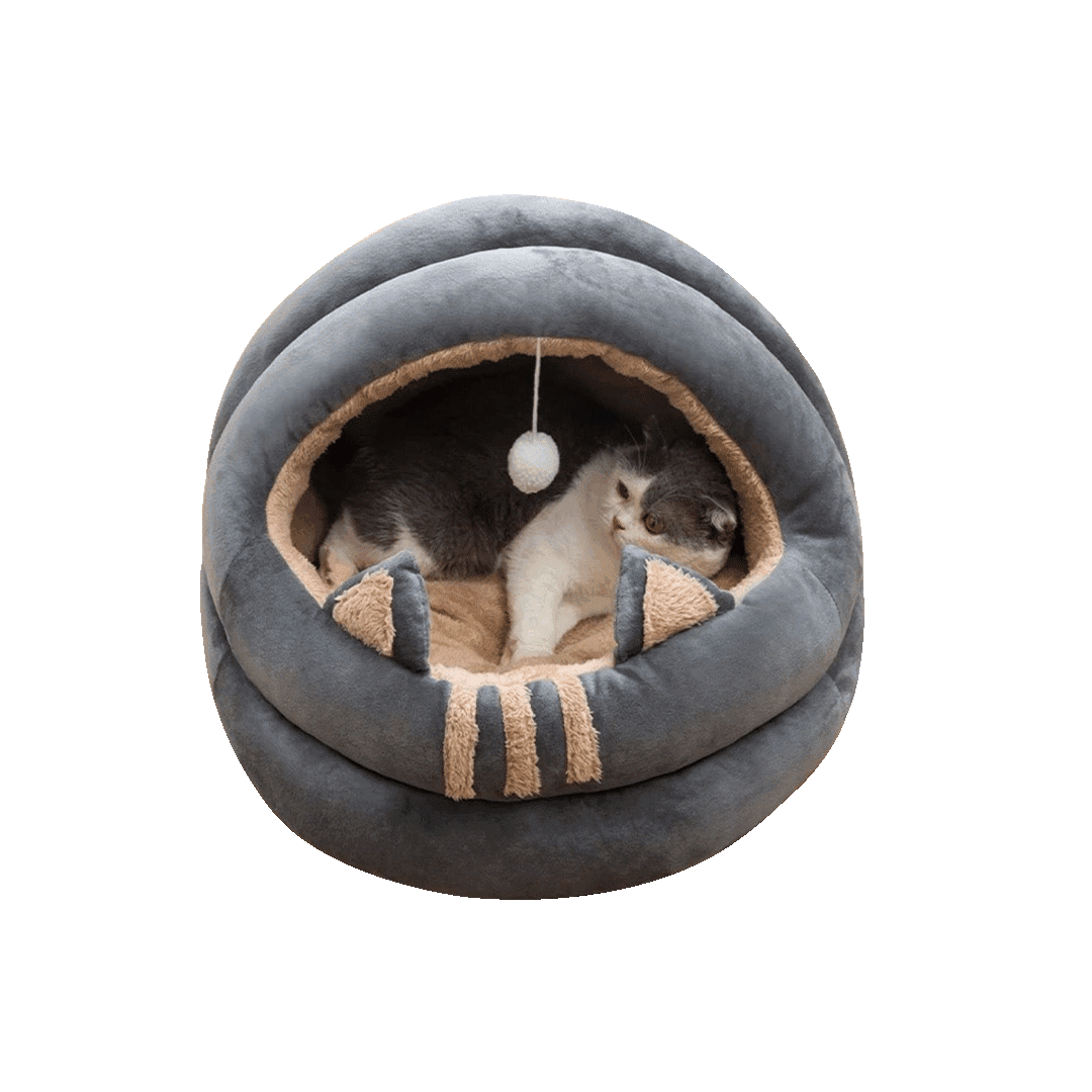 Large Sophisticated Cartoon House & Bed for Cats & Puppies