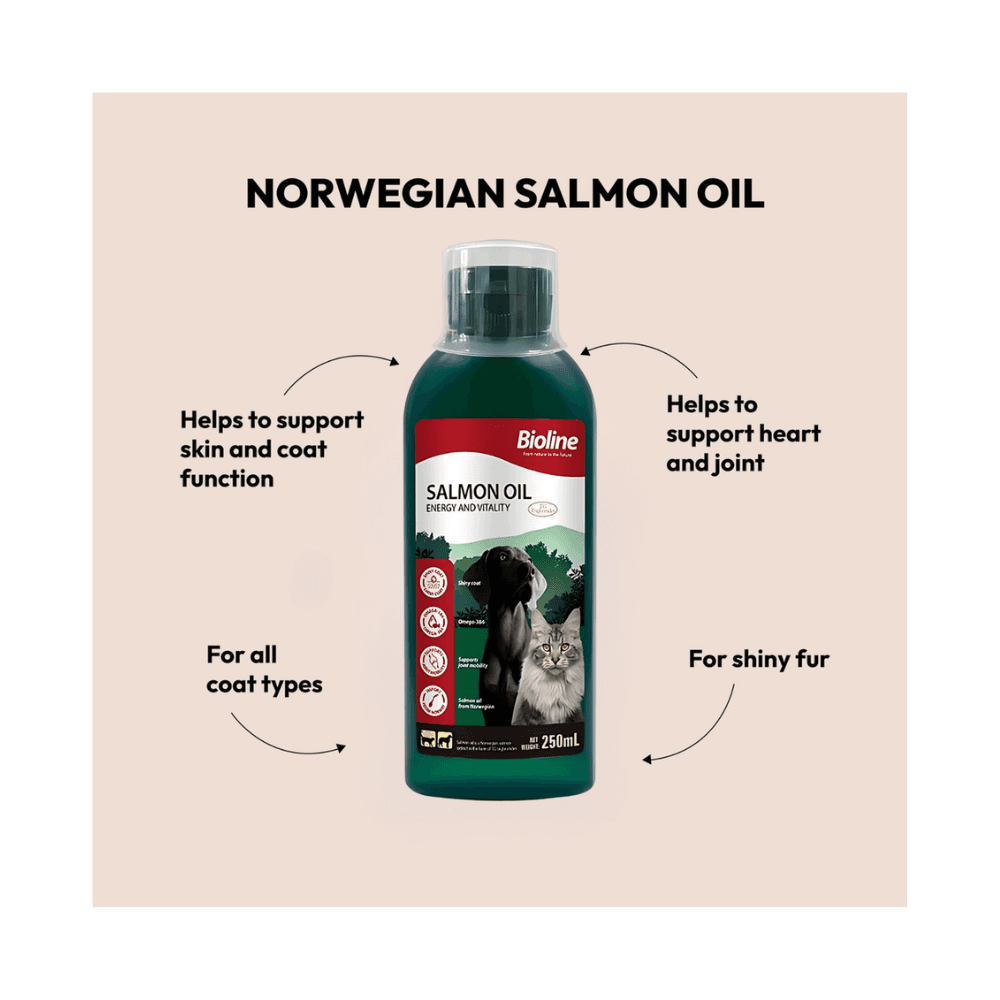 Bioline Norwegian Salmon Oil Energy & Vitality for Cats & Dogs 250ml