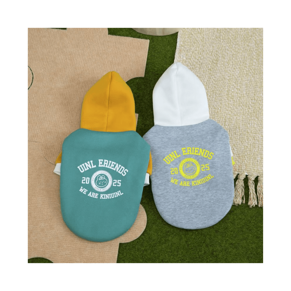 Exclusive Edition Cat Friendship Hoodie Dress Sweater